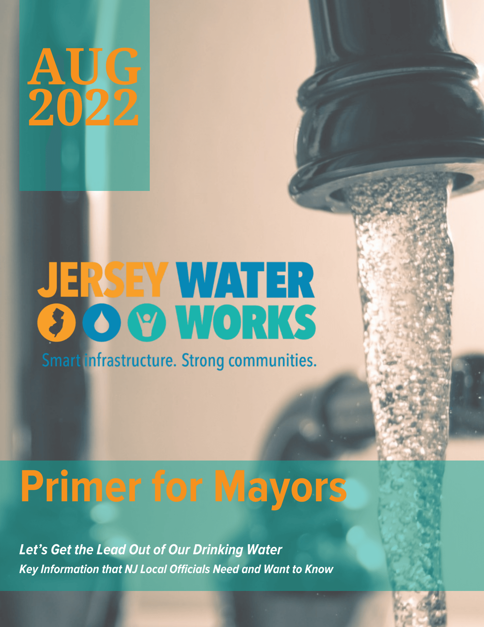 Cover graphic of Primer for Mayors on Lead in Drinking Water pdf file