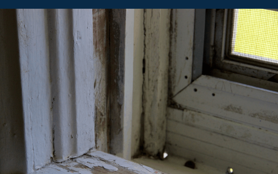NJ Households Should Access State Grants to Fix Lead Paint by December 2026, and Advocate for Future Funding
